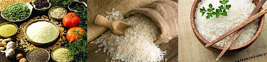 奢侈品包包坊首页-十大品牌和原单与二手等包包代购推荐(图1)